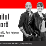 Coctailul de seară